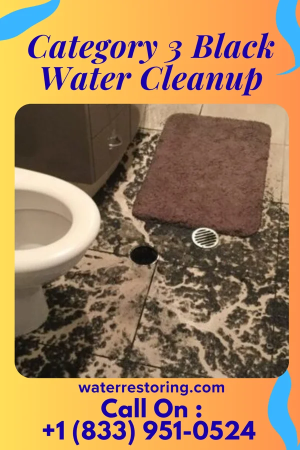 Category 3 Black Water Cleanup in Strasburg, ND